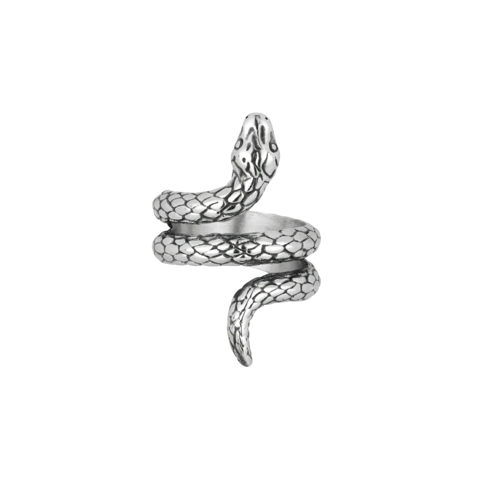 Snake Ring - Silver - Image 4